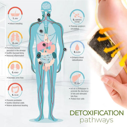 Detoxplus™ Lymphatic Drainage Foot Pads  90 PCS